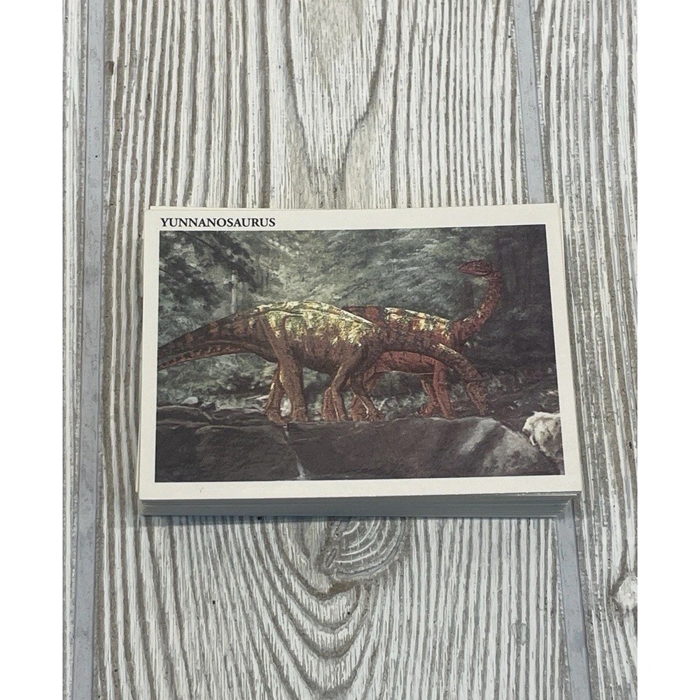 Vintage Redstone Marketing Dinosaur Trading Cards Set of 30 Educational Facts